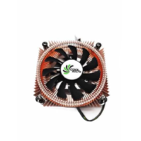 product-600-600